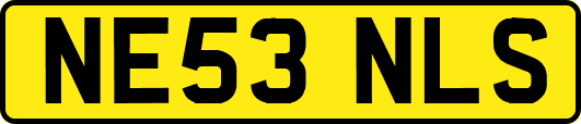 NE53NLS