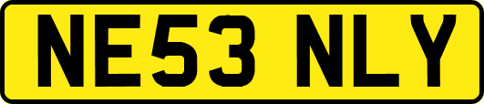 NE53NLY
