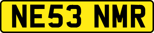 NE53NMR