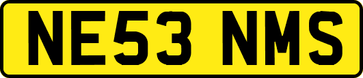 NE53NMS