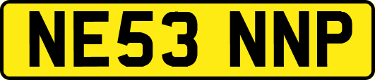 NE53NNP