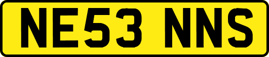 NE53NNS