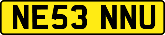 NE53NNU