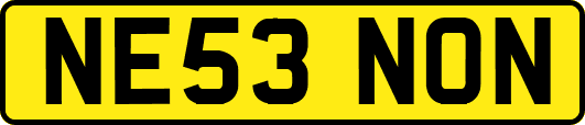 NE53NON