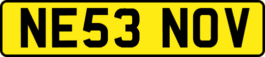 NE53NOV