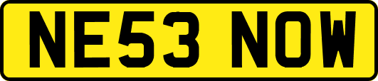 NE53NOW