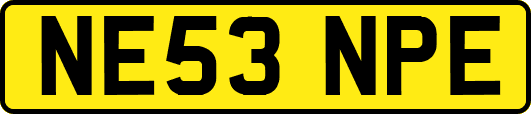 NE53NPE