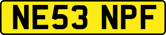 NE53NPF