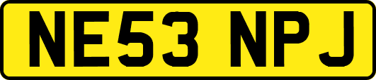 NE53NPJ