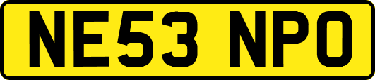 NE53NPO