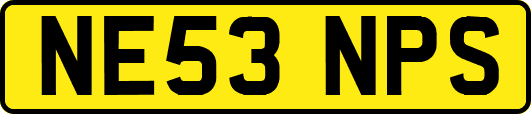 NE53NPS