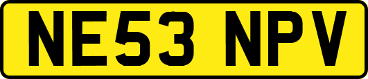 NE53NPV