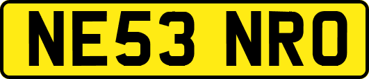 NE53NRO