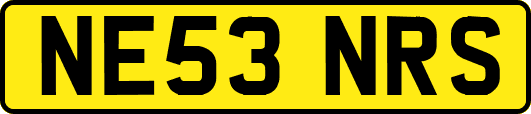NE53NRS
