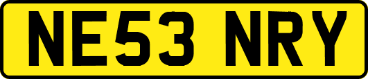 NE53NRY