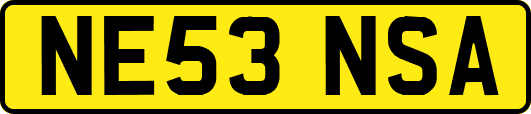 NE53NSA