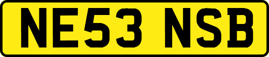 NE53NSB