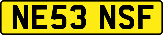 NE53NSF