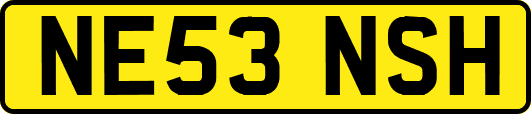 NE53NSH