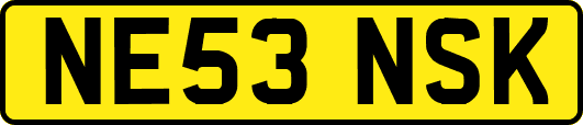 NE53NSK