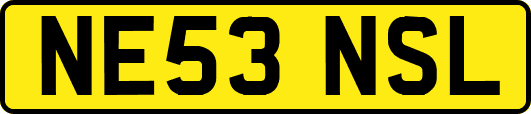 NE53NSL
