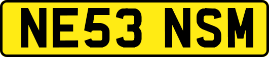 NE53NSM