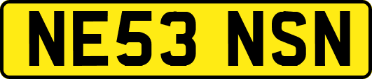 NE53NSN