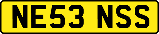NE53NSS