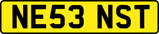 NE53NST