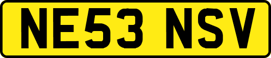 NE53NSV