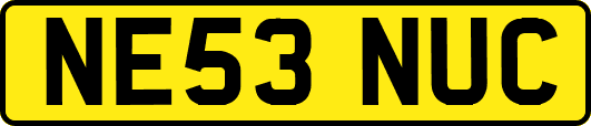 NE53NUC