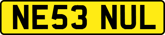 NE53NUL