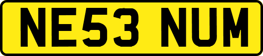 NE53NUM
