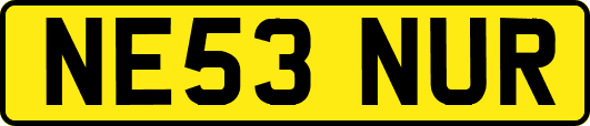 NE53NUR