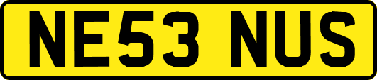 NE53NUS