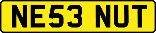 NE53NUT