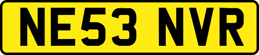 NE53NVR