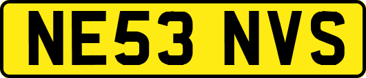 NE53NVS
