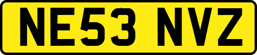 NE53NVZ