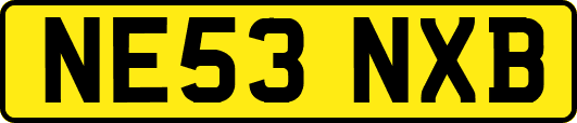 NE53NXB