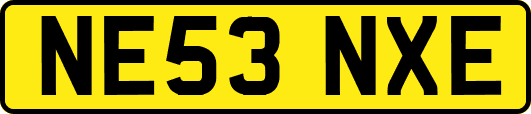 NE53NXE