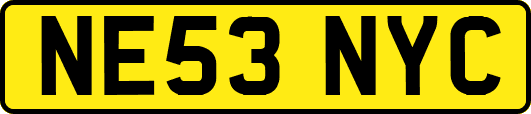 NE53NYC