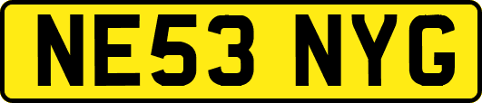 NE53NYG