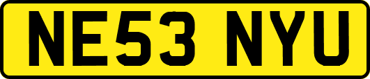 NE53NYU