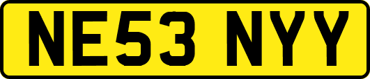 NE53NYY