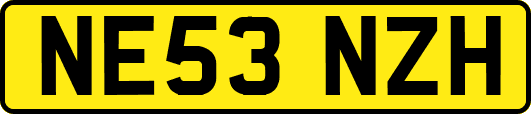 NE53NZH