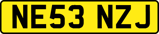 NE53NZJ