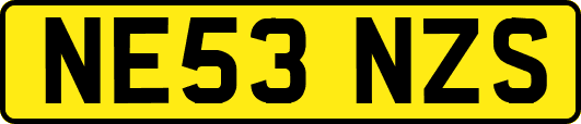 NE53NZS