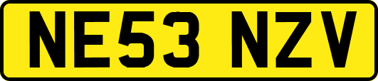 NE53NZV