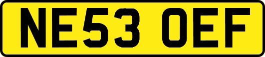 NE53OEF
